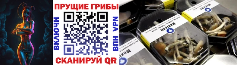 Галлюциногенные грибы ЛСД  Купить где  Городище 